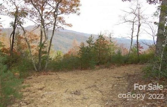 Lot 361 Hickory Nut Lane - Photo 7