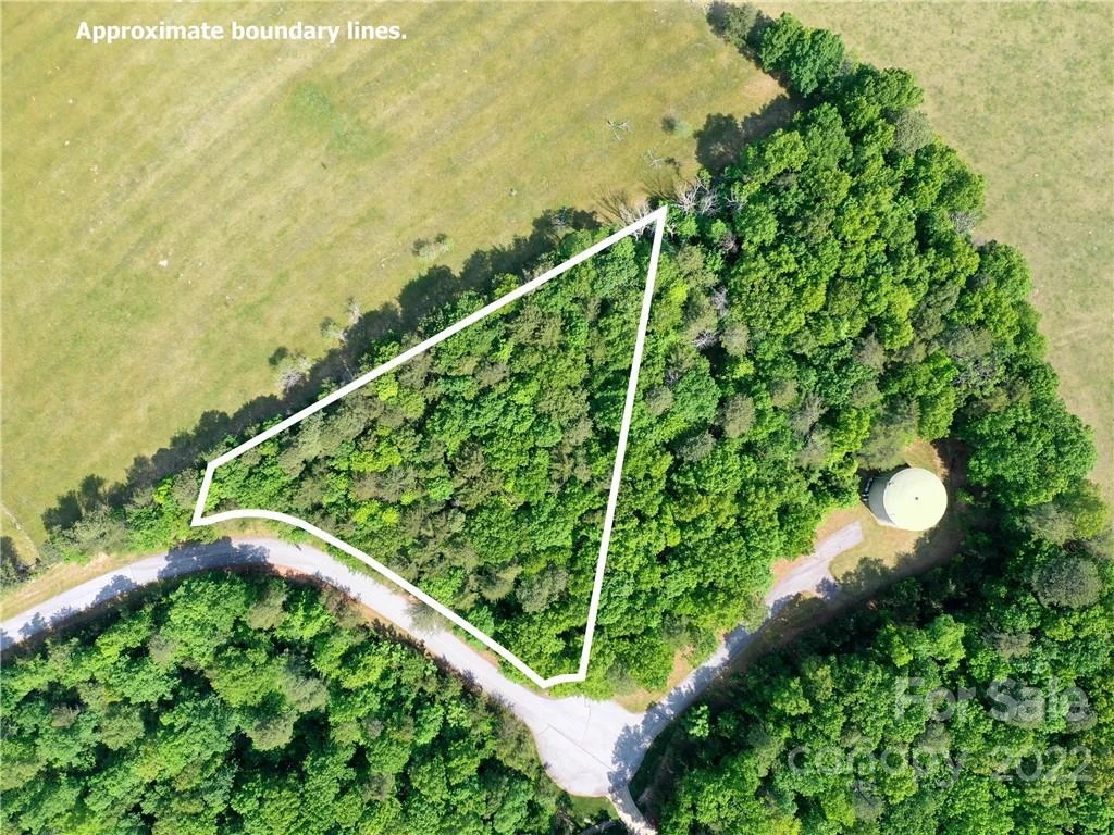 LOT 295 Eastman Place - Photo 3