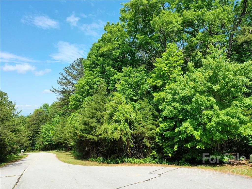 LOT 295 Eastman Place - Photo 5