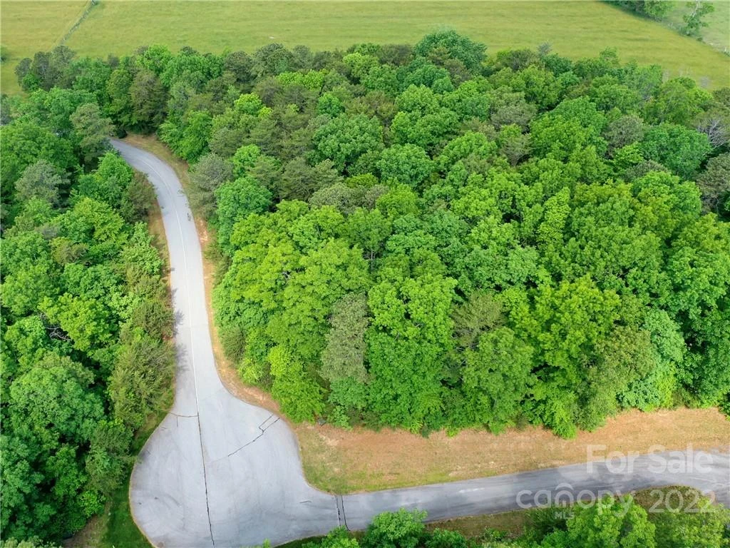 LOT 295 Eastman Place - Photo 6