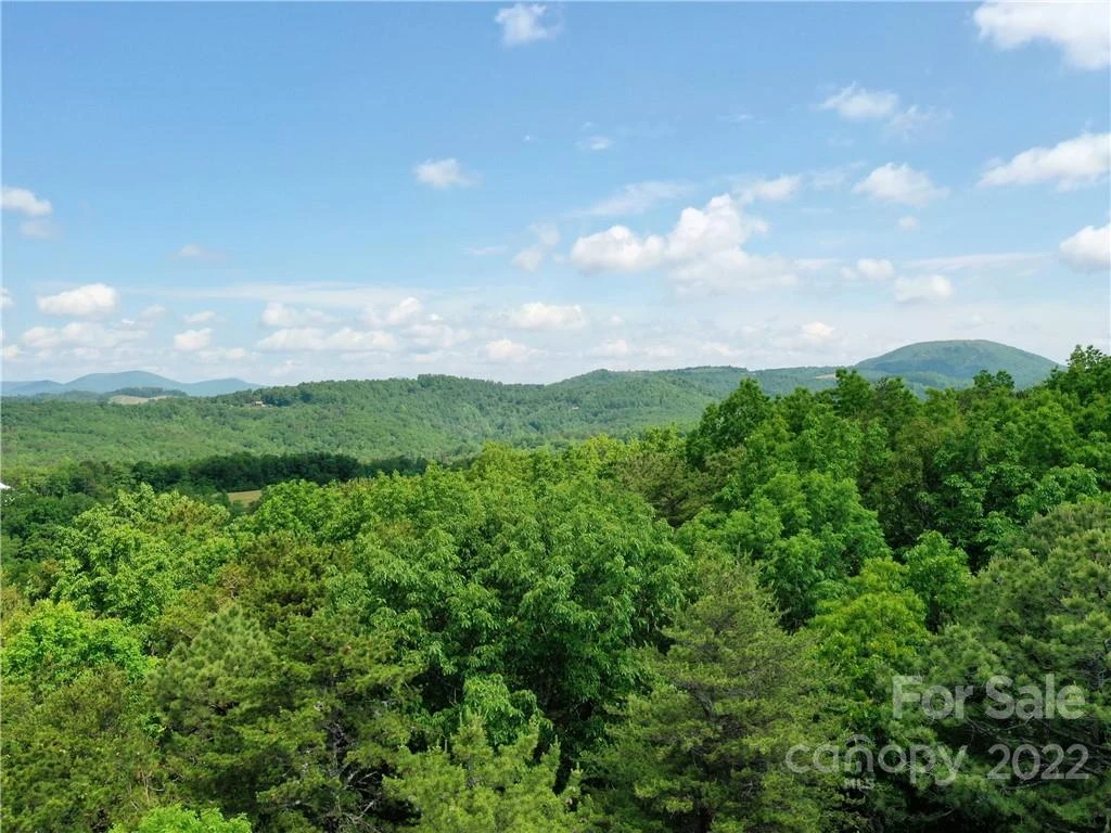 LOT 295 Eastman Place - Photo 7