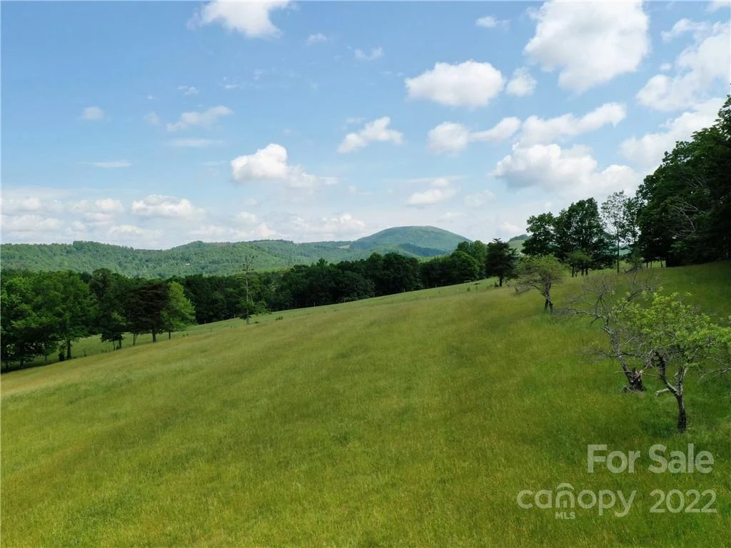LOT 295 Eastman Place - Photo 8