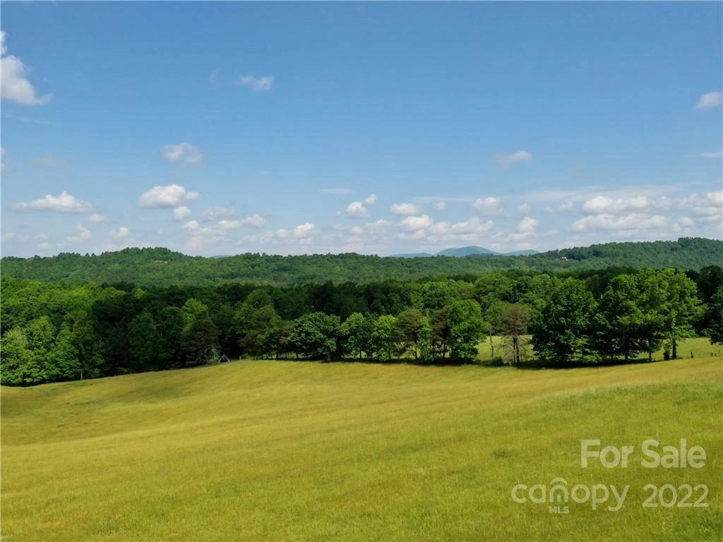 LOT 295 Eastman Place - Photo 10