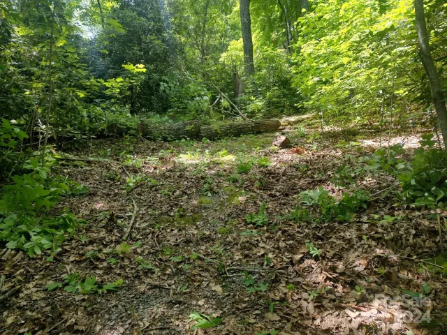 314 Burnside Trail