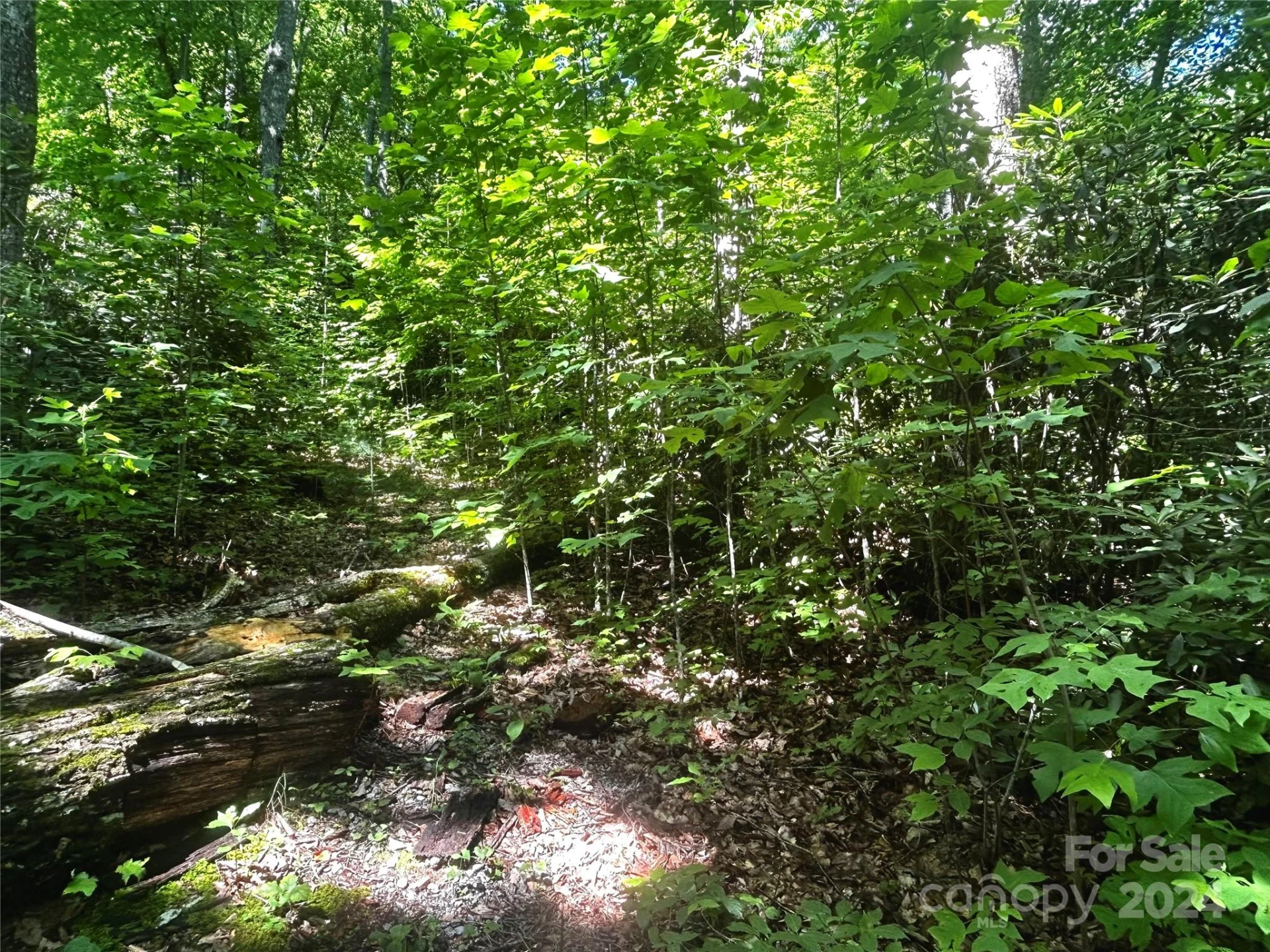 314 Burnside Trail #44 - Photo 11