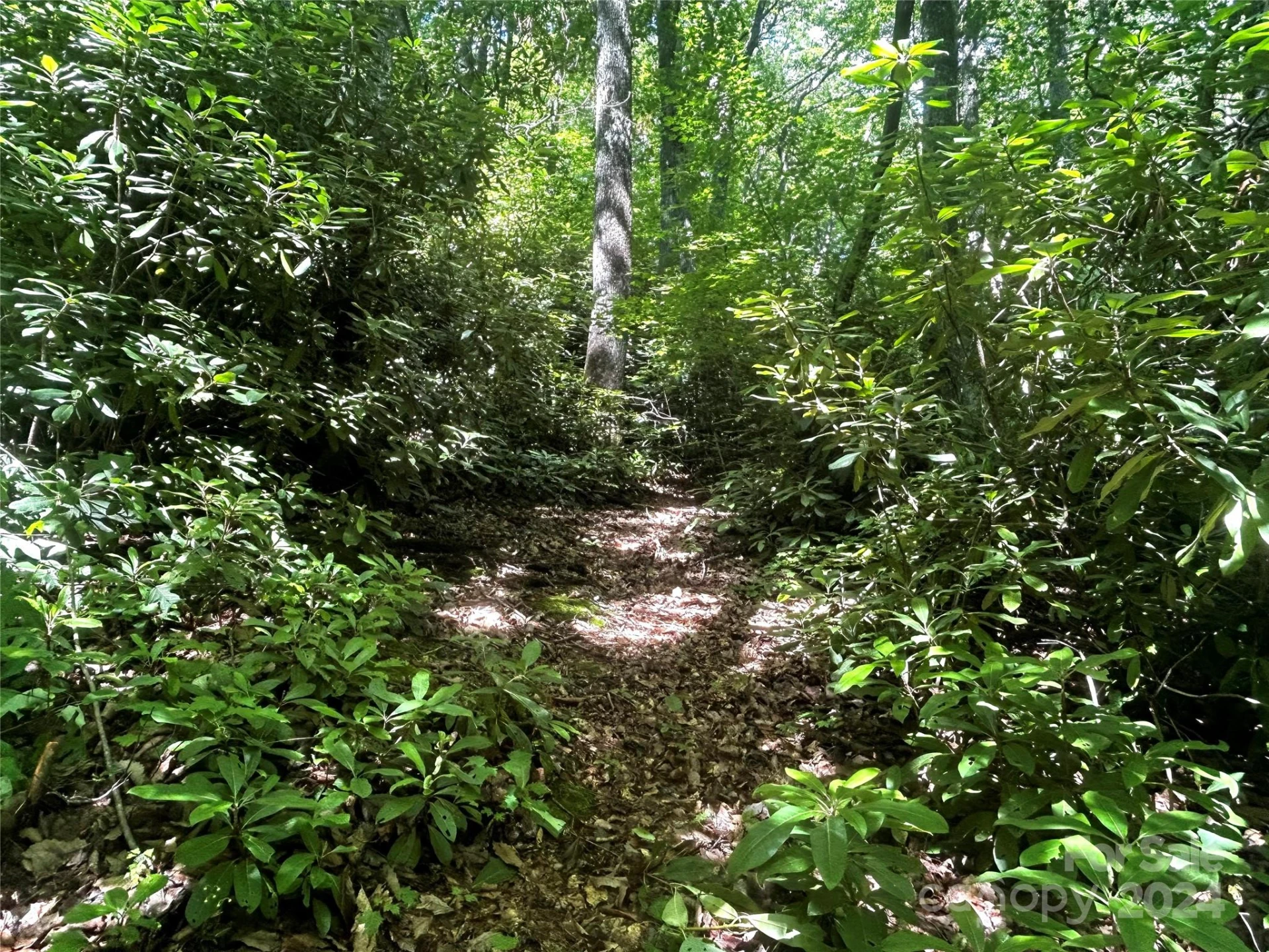314 Burnside Trail #44 - Photo 7