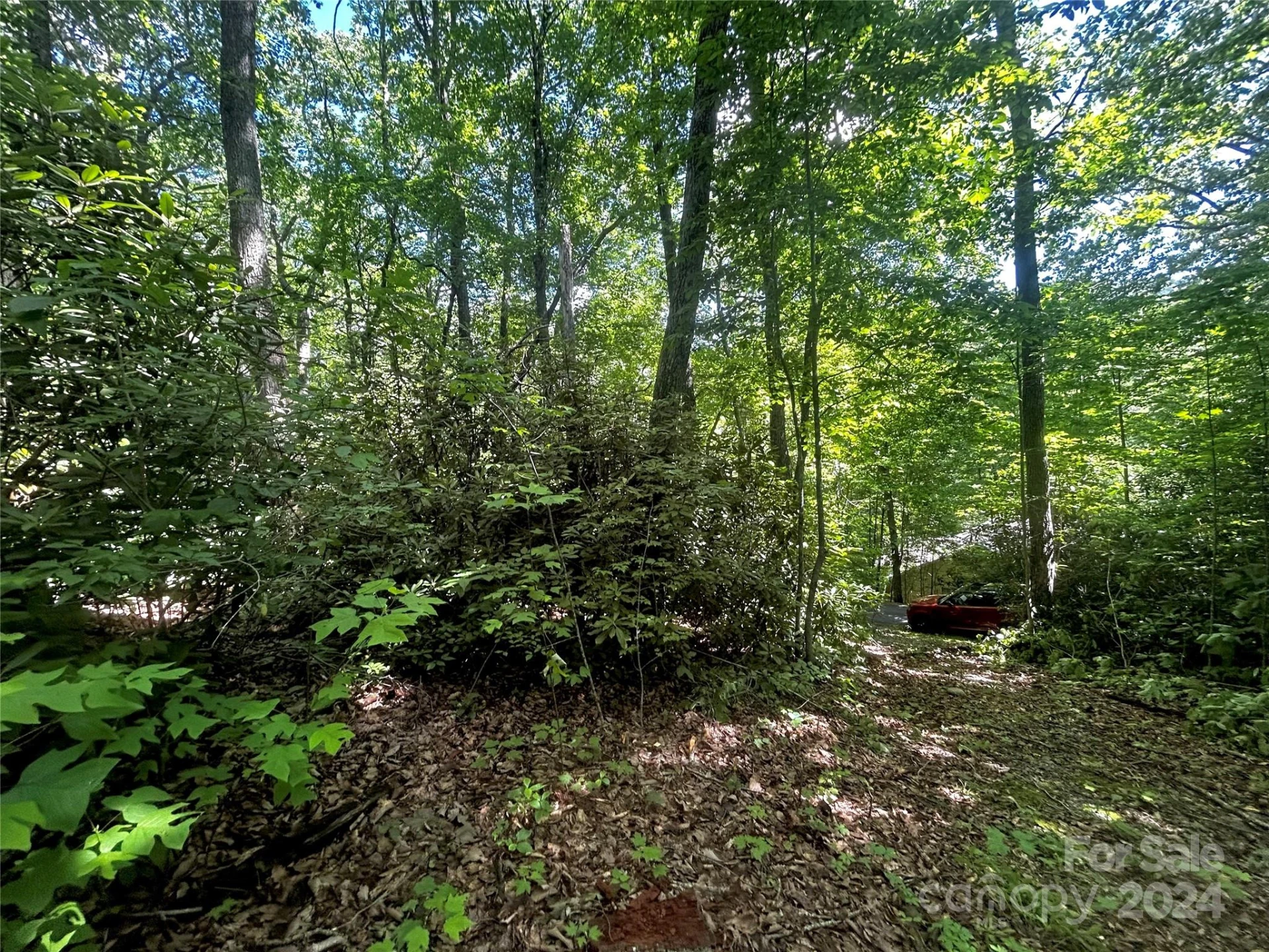 314 Burnside Trail #44 - Photo 9