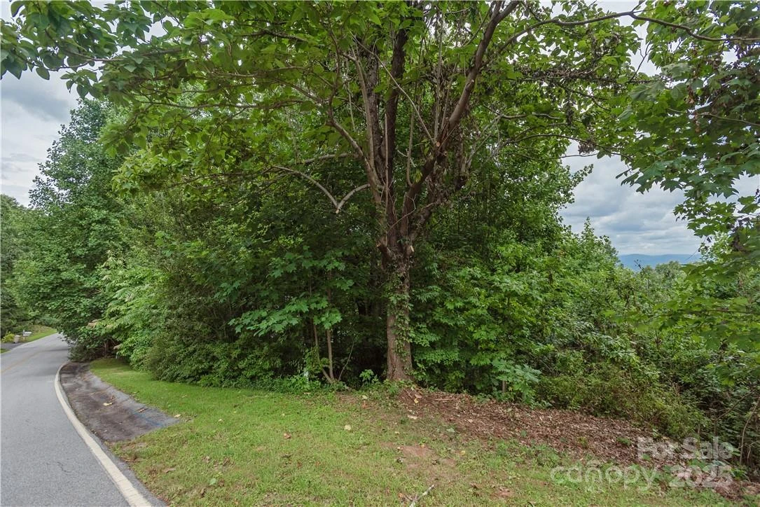 103 Berry Creek Drive #22 - Photo 5