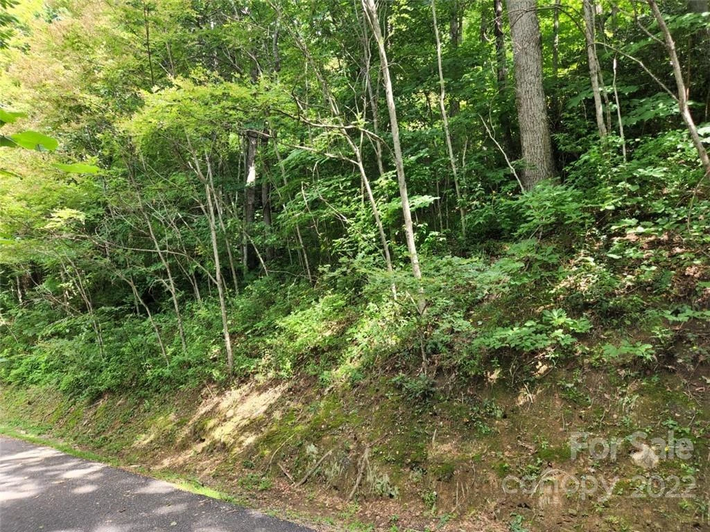 00 Heavenview Point #120 - Photo 3