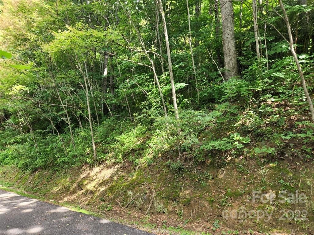 00 Heavenview Point #120 - Photo 5