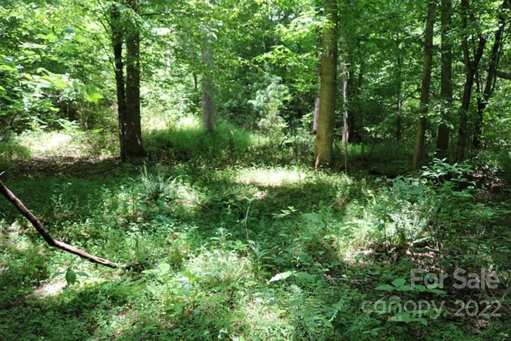 0 Woodstock Lane #166 - Photo 3