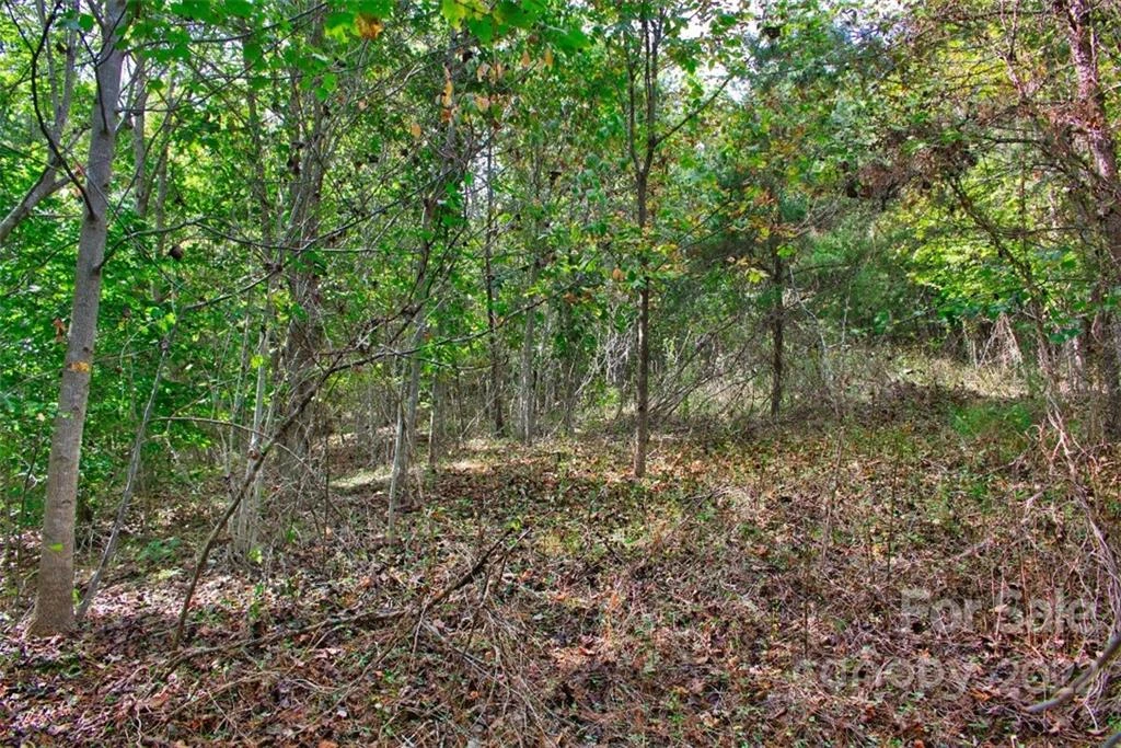 0 Chimney Creek Lane #194 - Photo 4