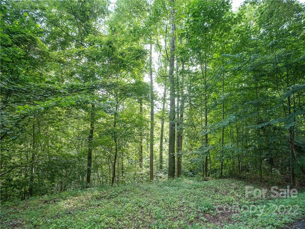 00 Ironwood Lane #12