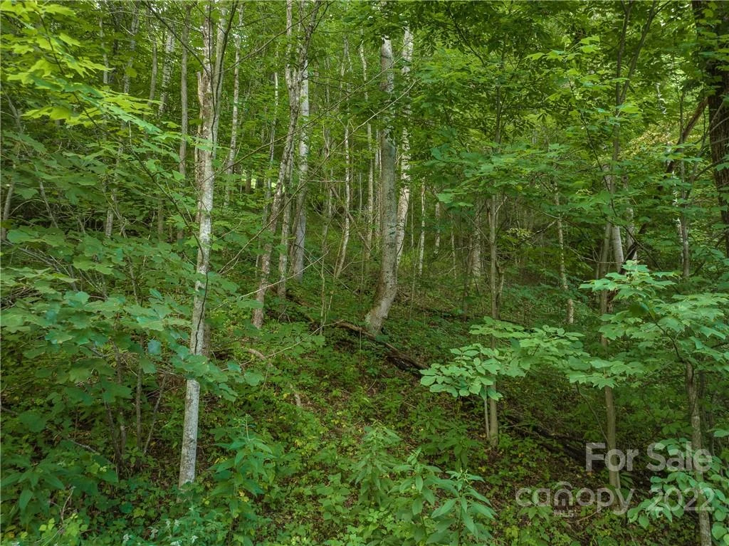 00 Ironwood Lane #12 - Photo 12