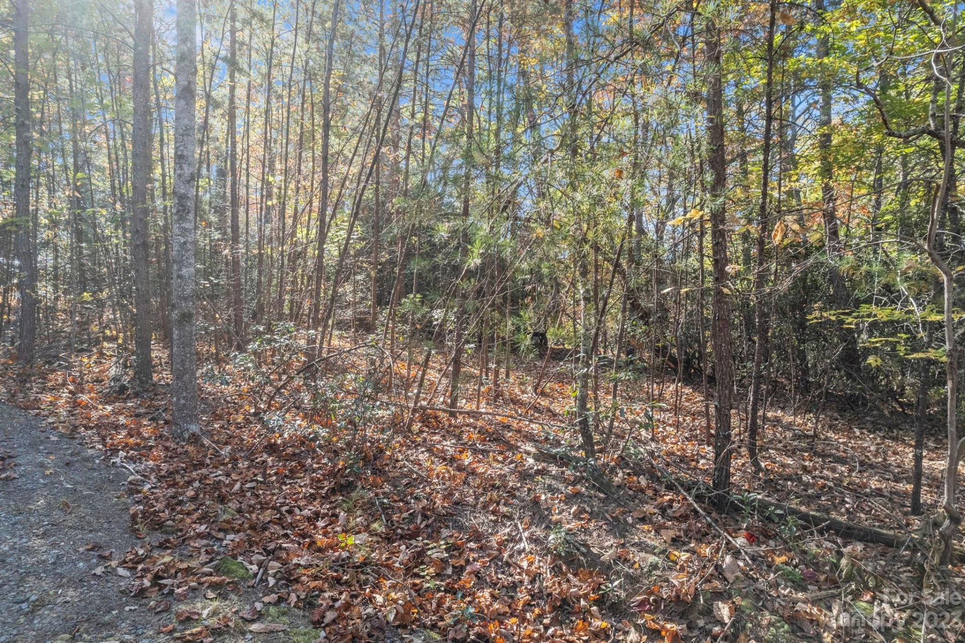 0 Birddog Boulevard - Photo 36