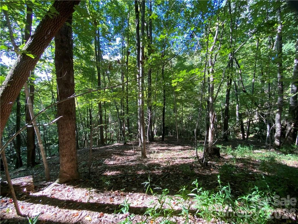 46 Holmstead Drive #46 - Photo 21