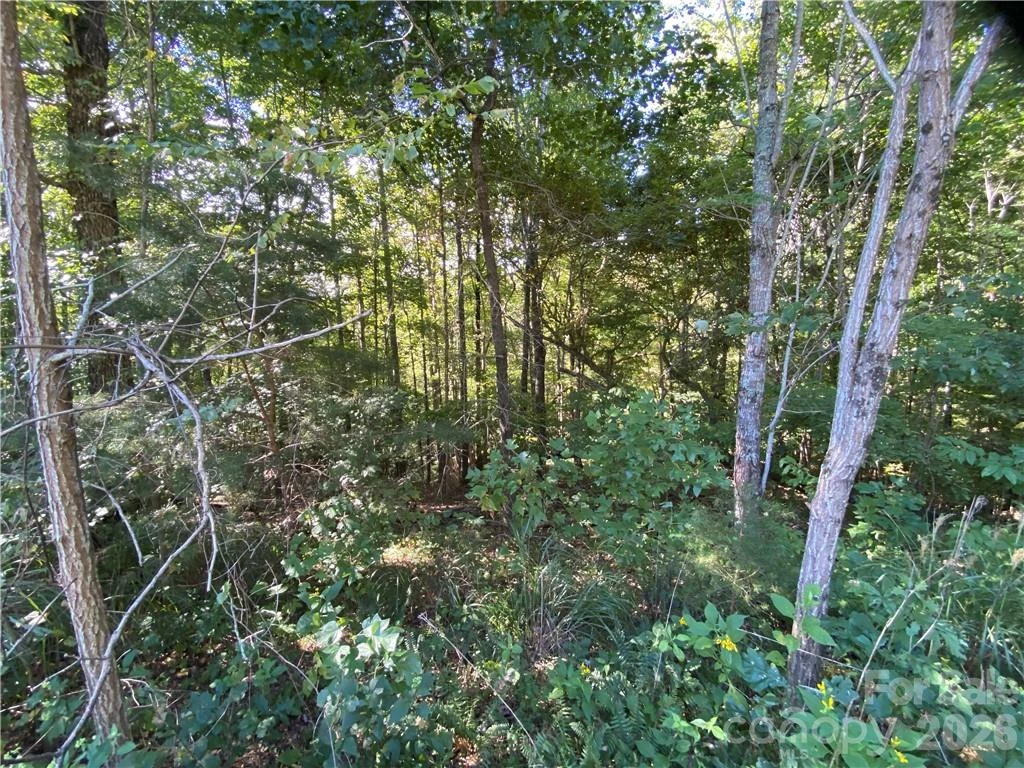 46 Holmstead Drive #46 - Photo 22
