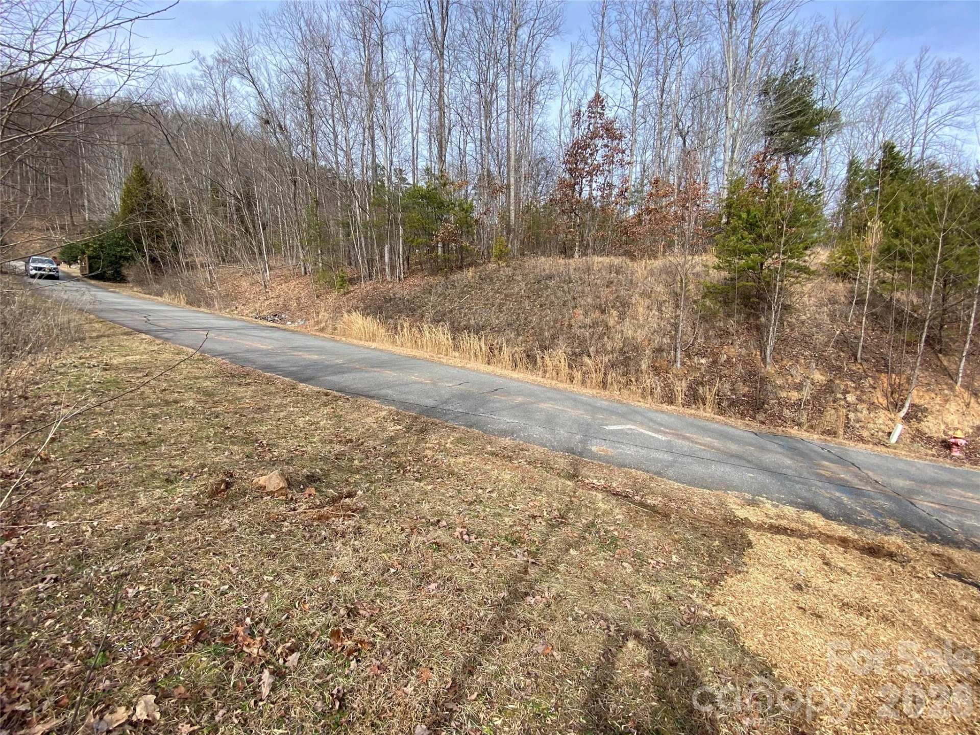 46 Holmstead Drive #46 - Photo 4