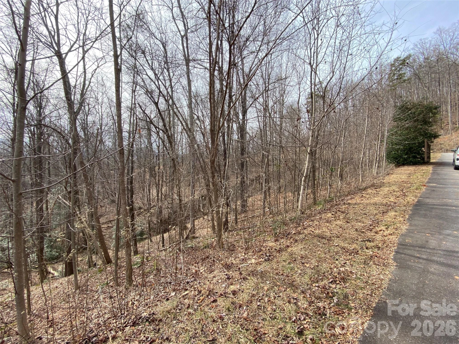 46 Holmstead Drive #46 - Photo 5