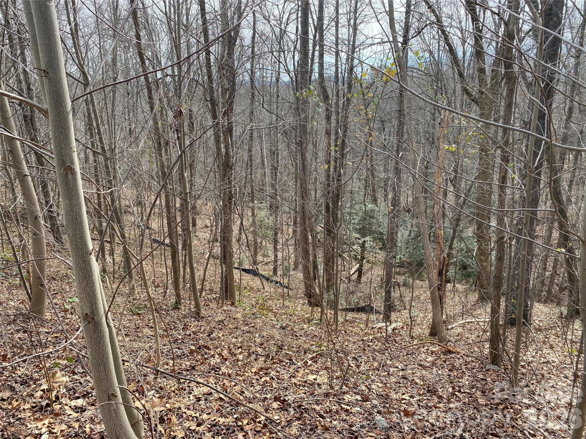 46 Holmstead Drive #46 - Photo 7