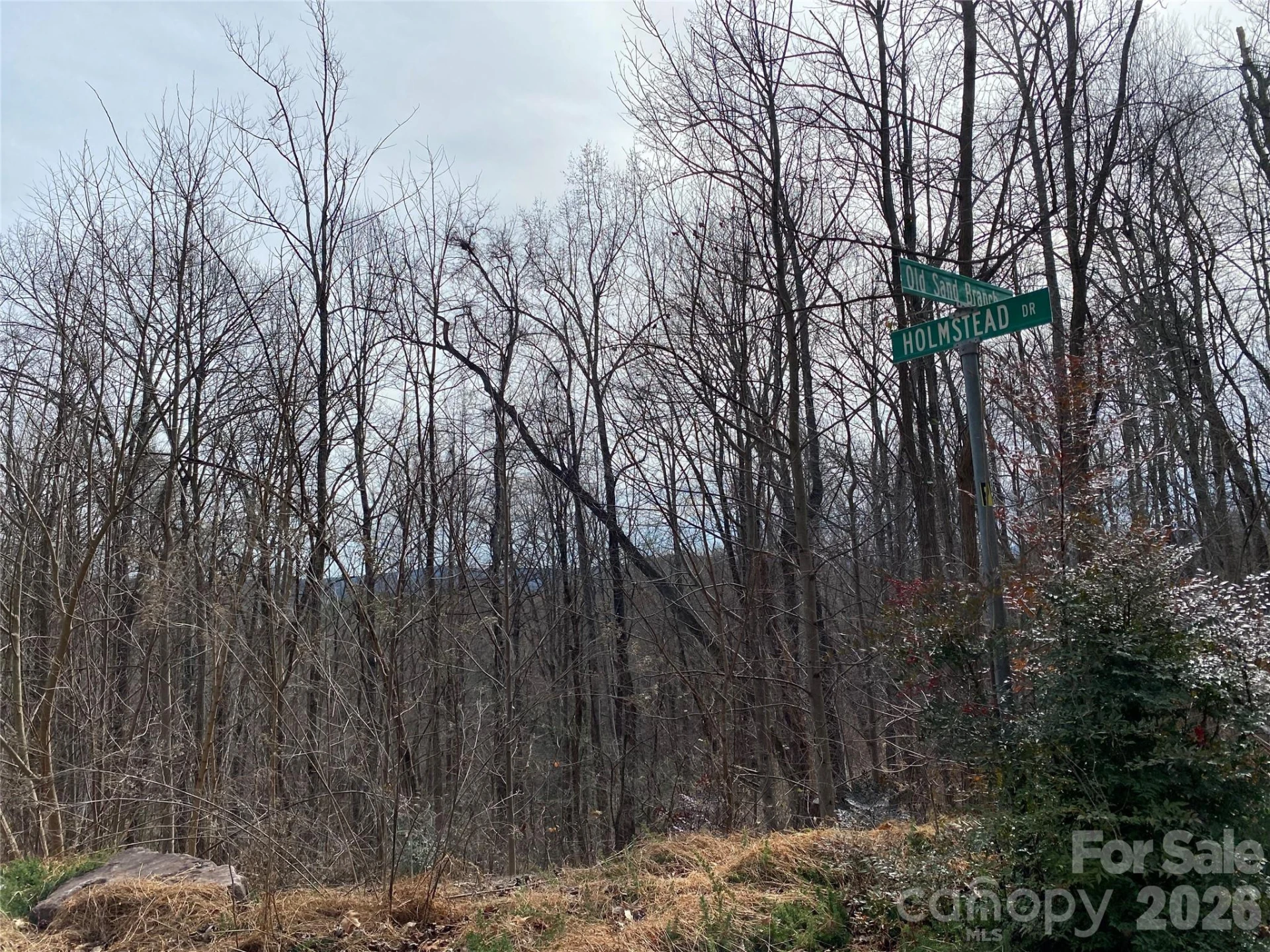 46 Holmstead Drive #46 - Photo 8
