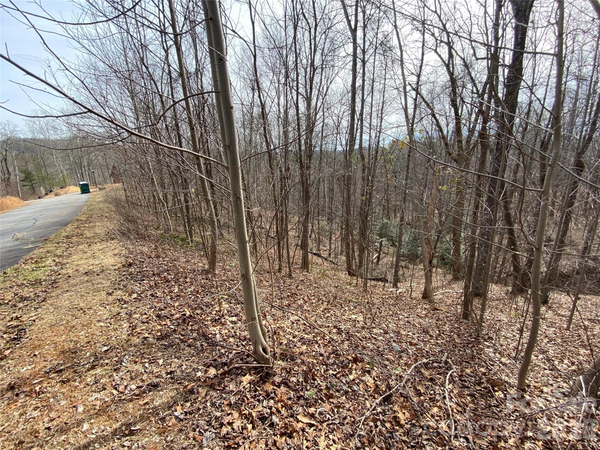 46 Holmstead Drive #46 - Photo 9