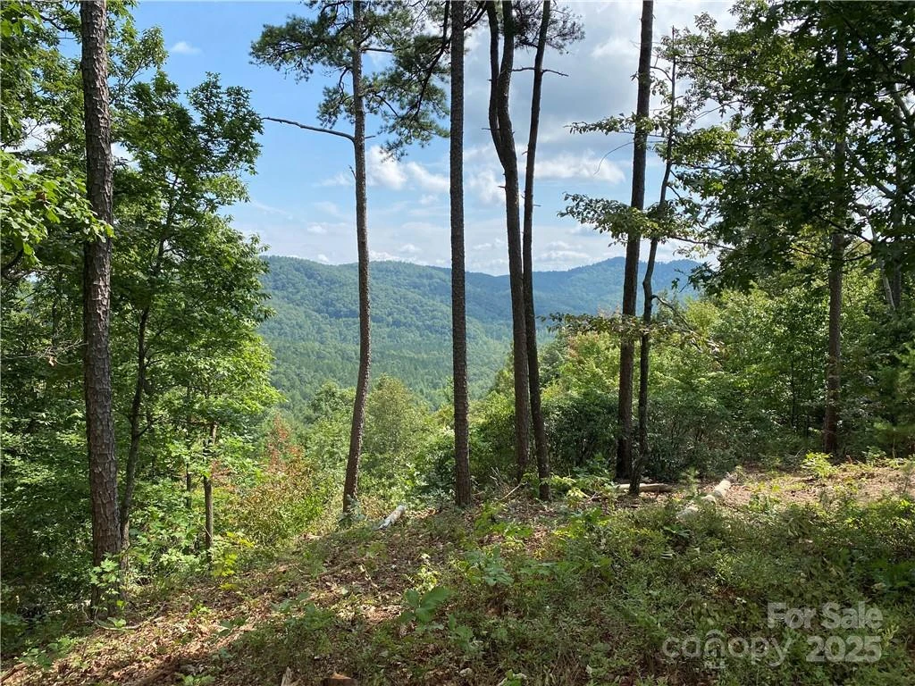 61 Scenic Vista Drive #238 - Photo 2