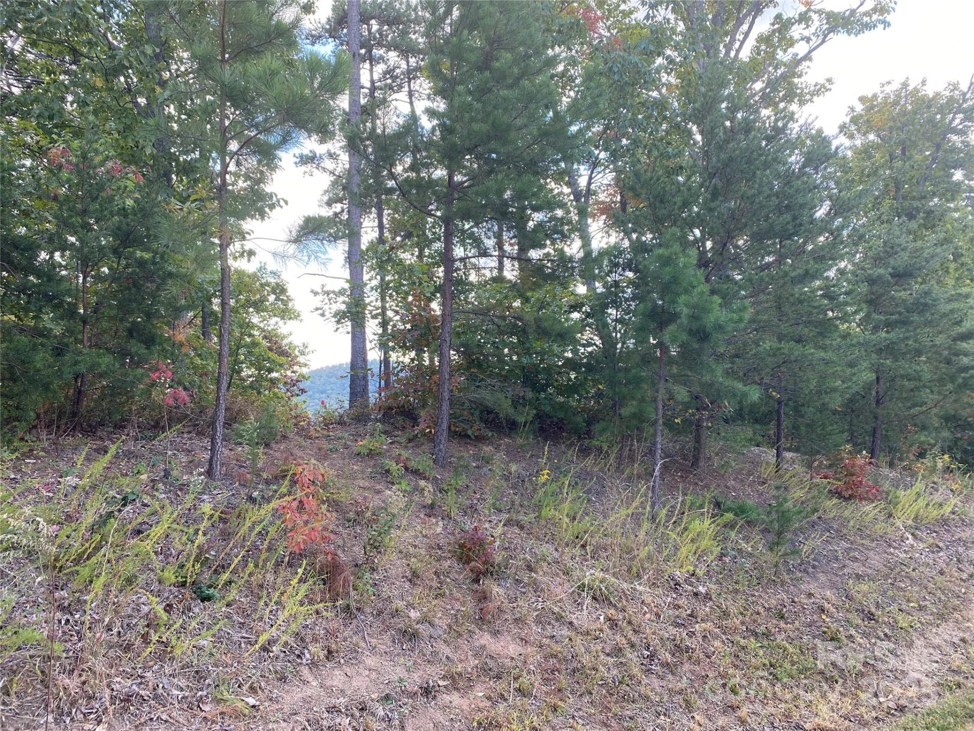 61 Scenic Vista Drive #238 - Photo 12