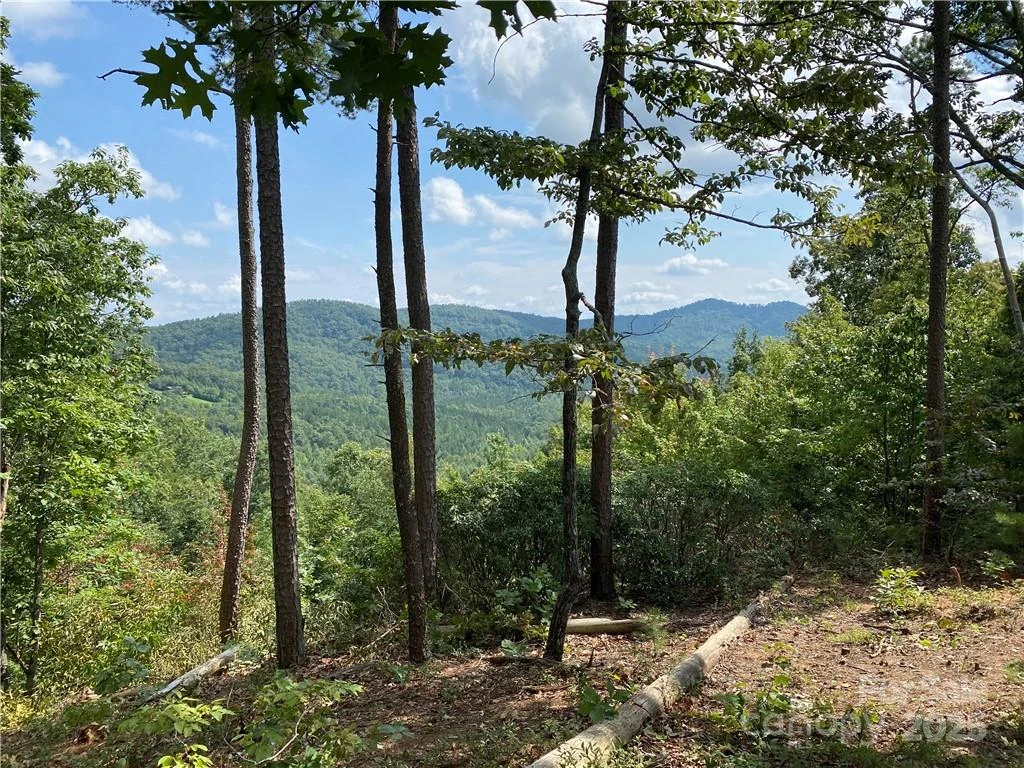 61 Scenic Vista Drive #238 - Photo 3