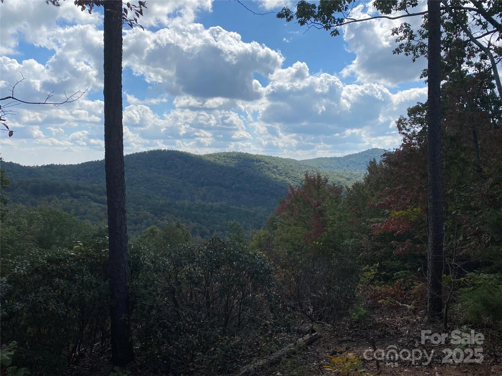 61 Scenic Vista Drive #238 - Photo 7