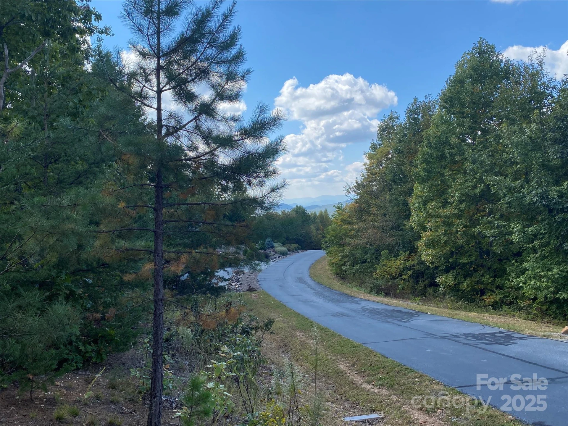61 Scenic Vista Drive #238 - Photo 8