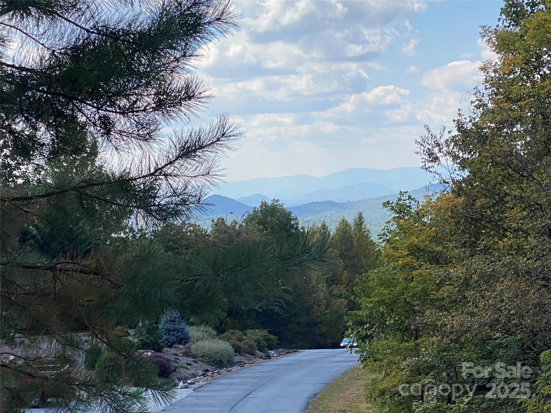 61 Scenic Vista Drive #238 - Photo 9