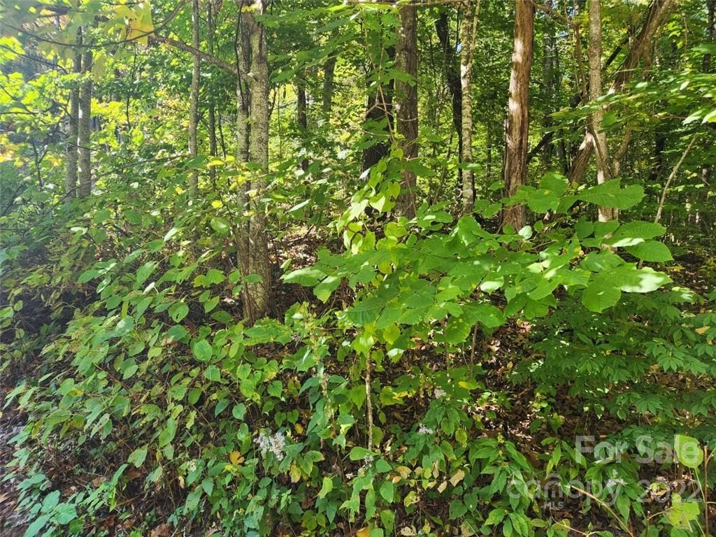 00 Staymon Road #229 - Photo 2