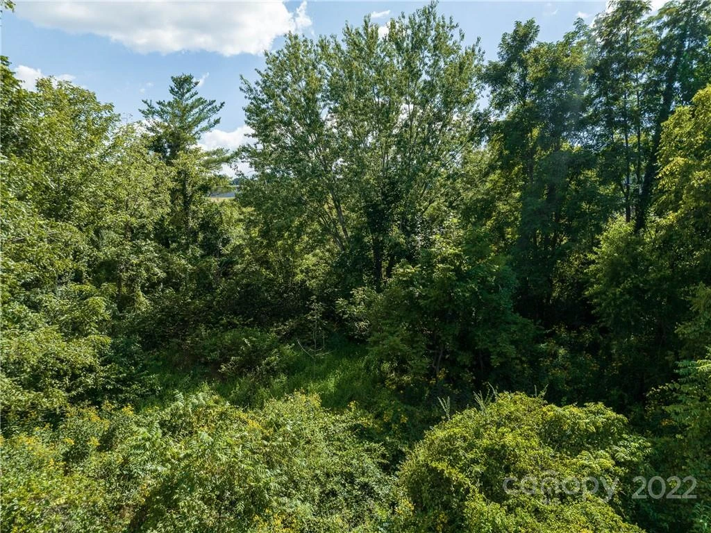 0 Dellwood Road #4, 5 & 6 - Photo 13