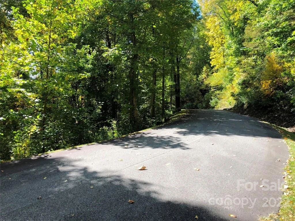 30 Cadillac Pointe #30 - Photo 4