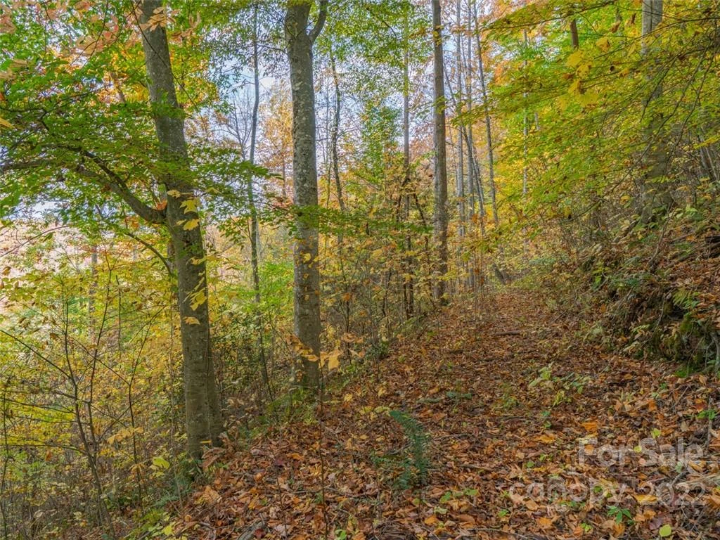 000 Drake Cove Road - Photo 11