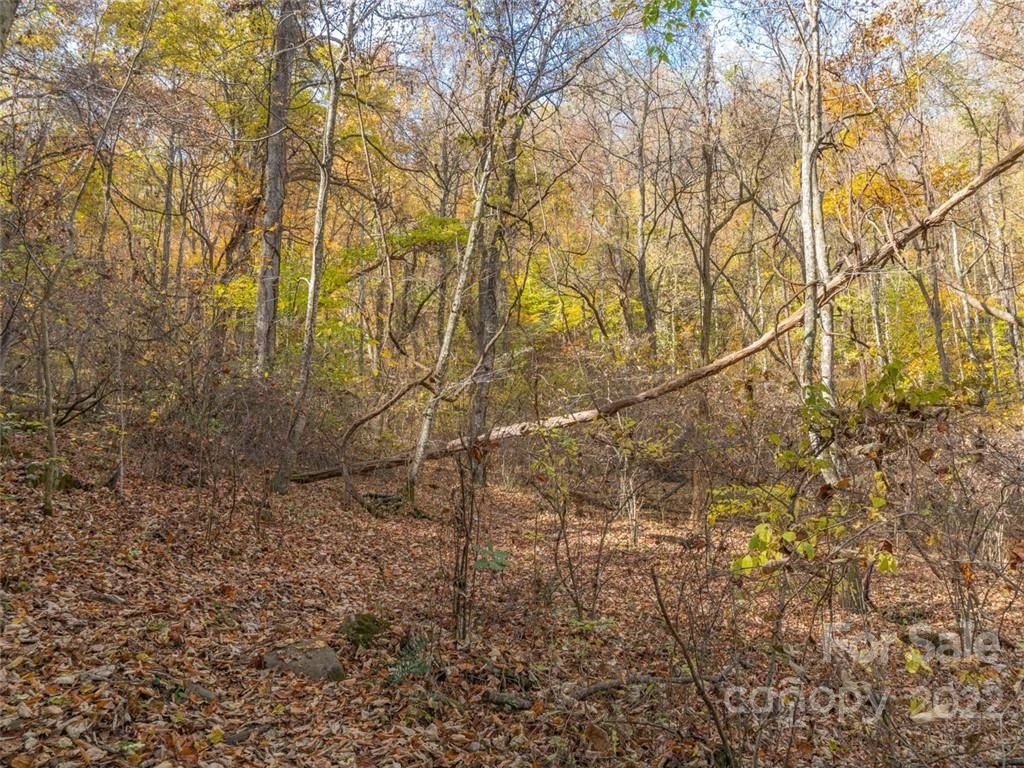 000 Drake Cove Road - Photo 26