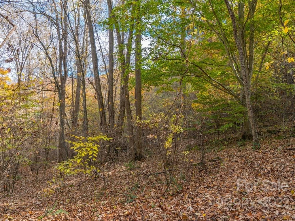 000 Drake Cove Road - Photo 27
