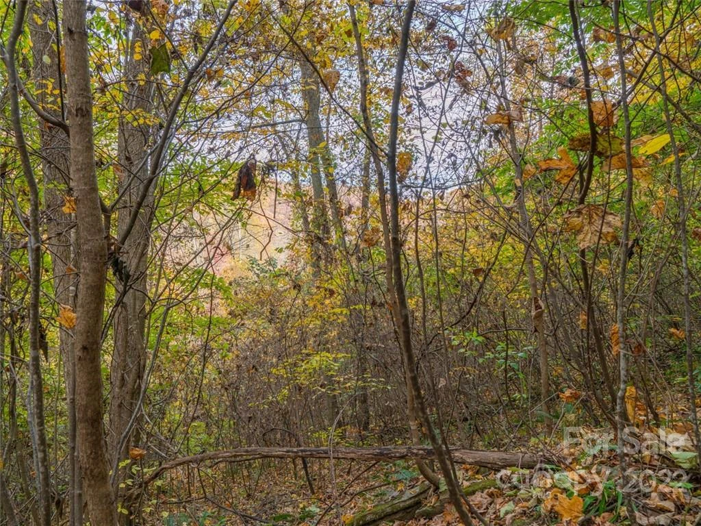 000 Drake Cove Road - Photo 28