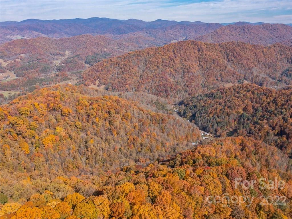 000 Drake Cove Road - Photo 4