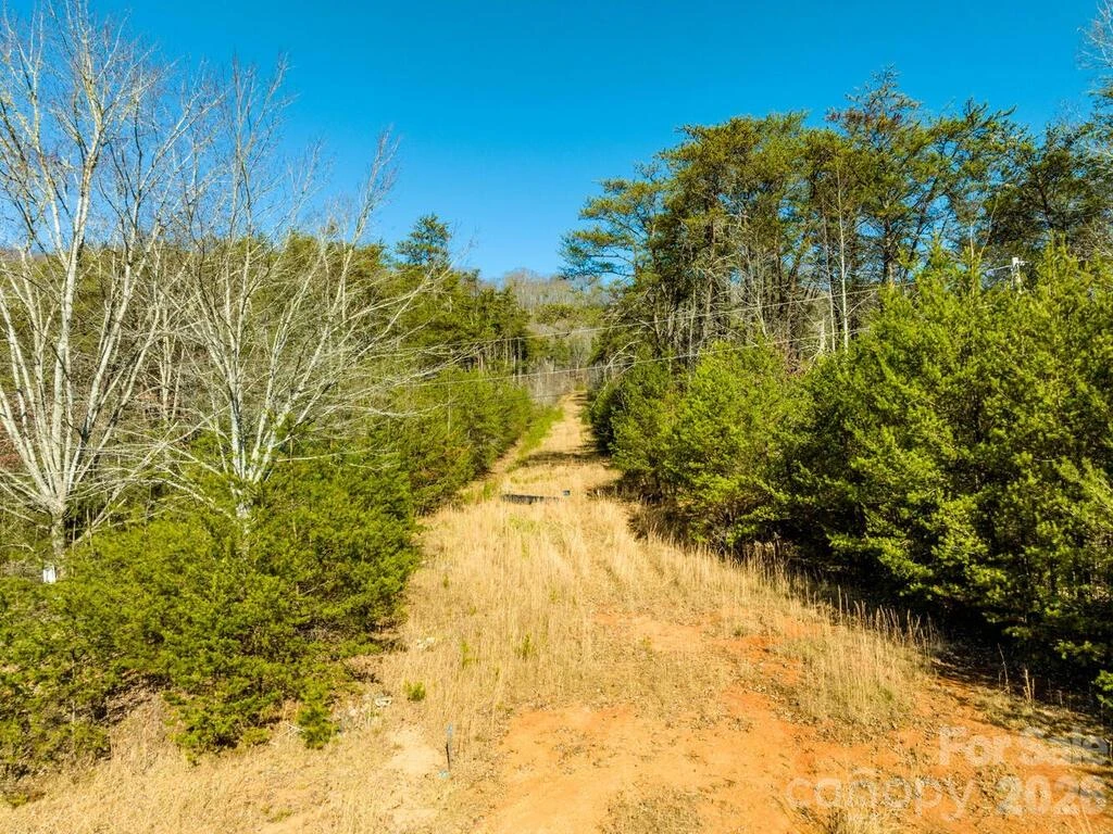 6 Tylers Run #12 - Photo 3