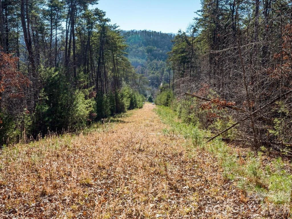 6 Tylers Run #12 - Photo 16