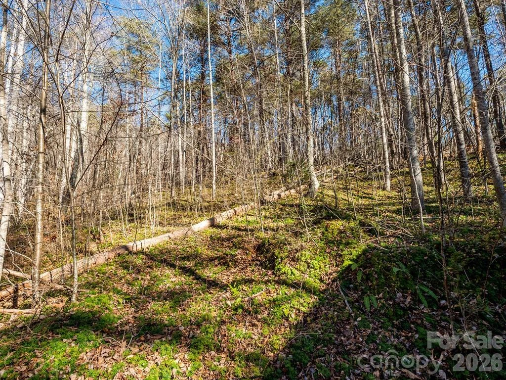 6 Tylers Run #12 - Photo 26