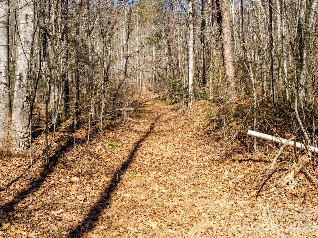 6 Tylers Run #12 - Photo 27