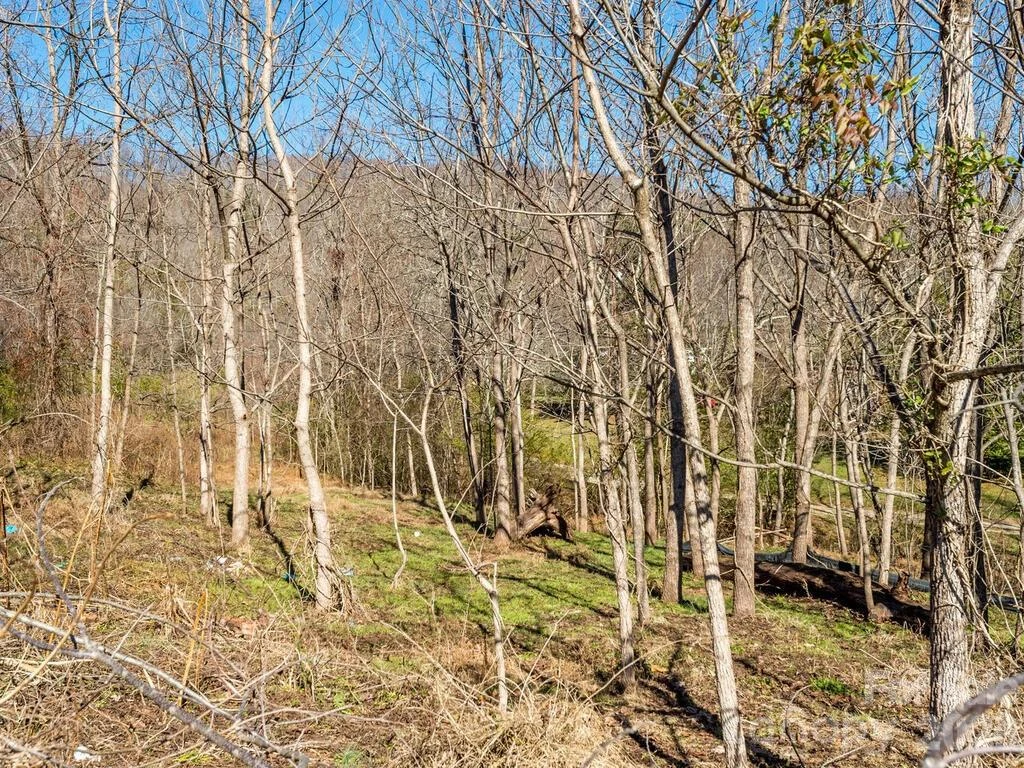 6 Tylers Run #12 - Photo 31
