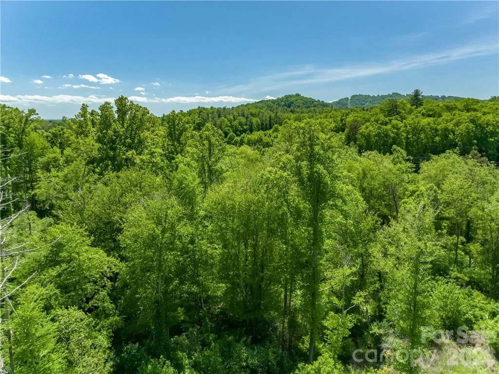 99999 Merrills Cove Road #1 & 3 - Photo 41