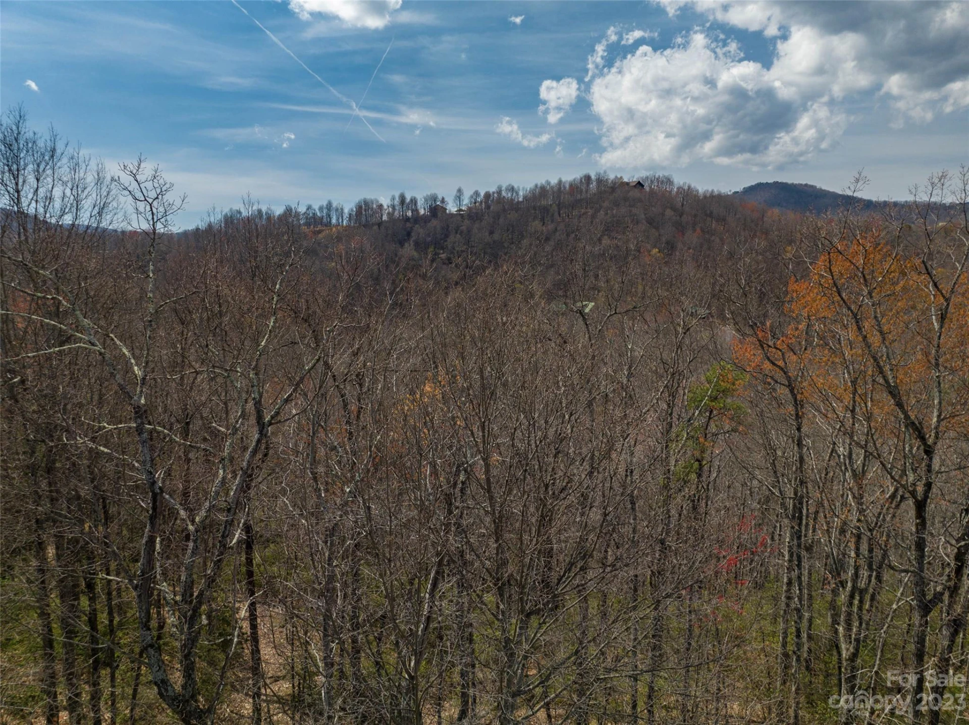 187 Arcadia Falls Way #77 - Photo 5