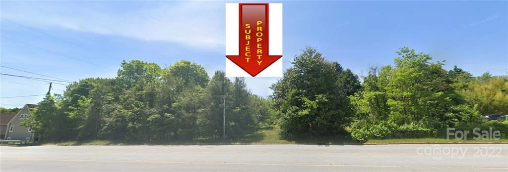 1277-1287 Hendersonville Road #2 lots - Photo 3