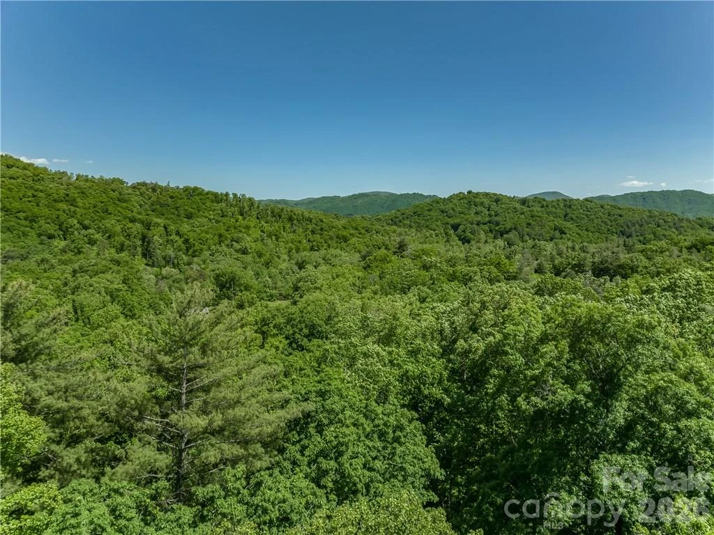 99999 Merrills Cove Road #1 & 3 - Photo 37