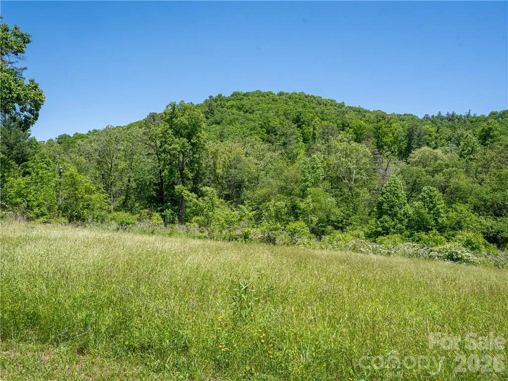 99999 Merrills Cove Road #1 & 3 - Photo 5